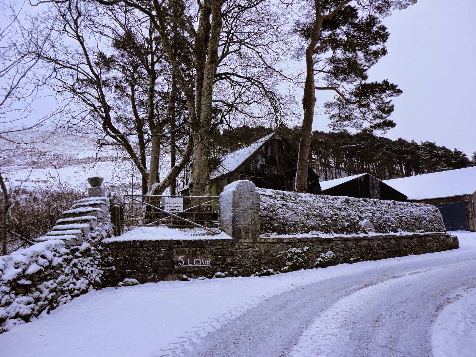 country farm landscape in winter with trees and wall in snow in scotland