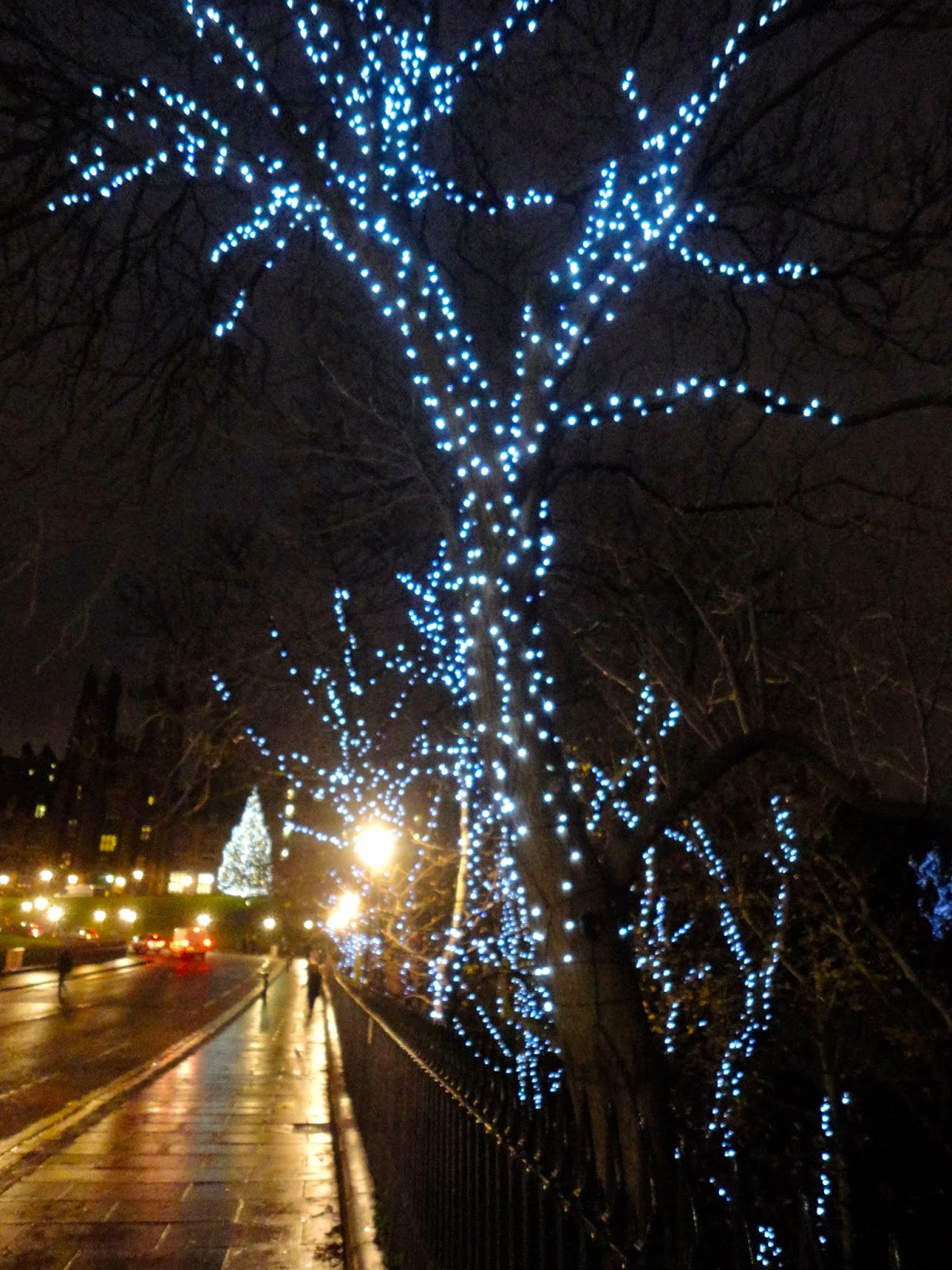 Trees decorated with lights in Edinburgh's Princes Street Gardens