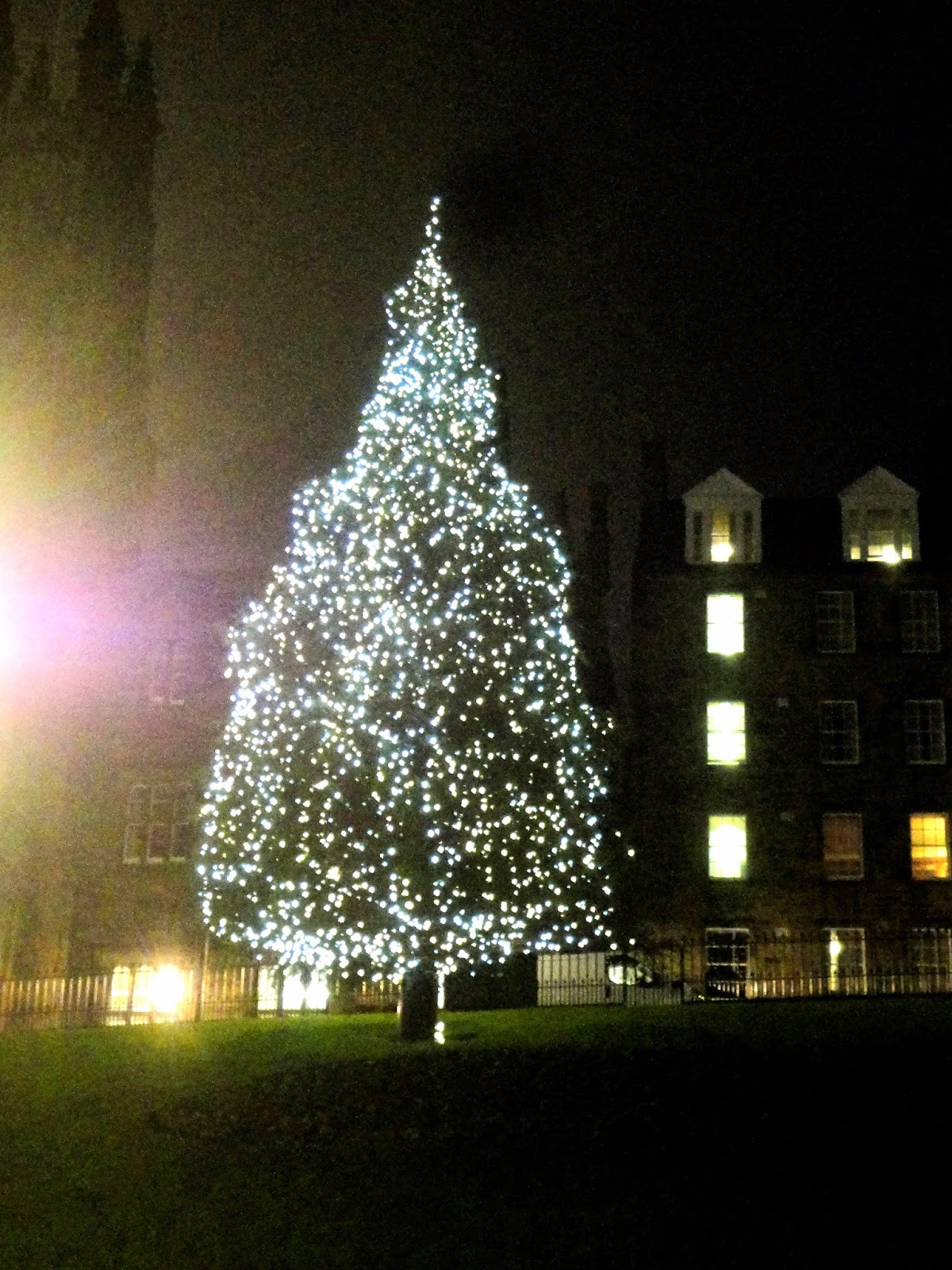 Christmas tree on the Mound, Edinburgh