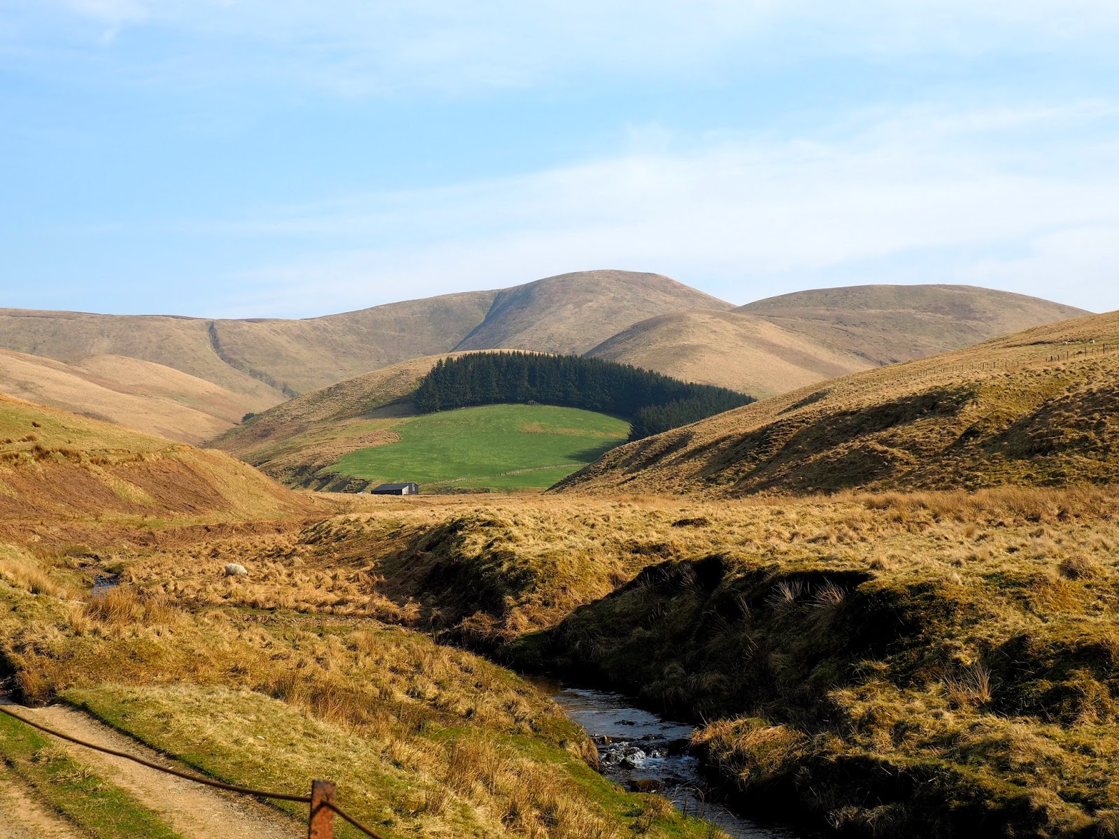 Countryside farm landscape in the Scottish Borders