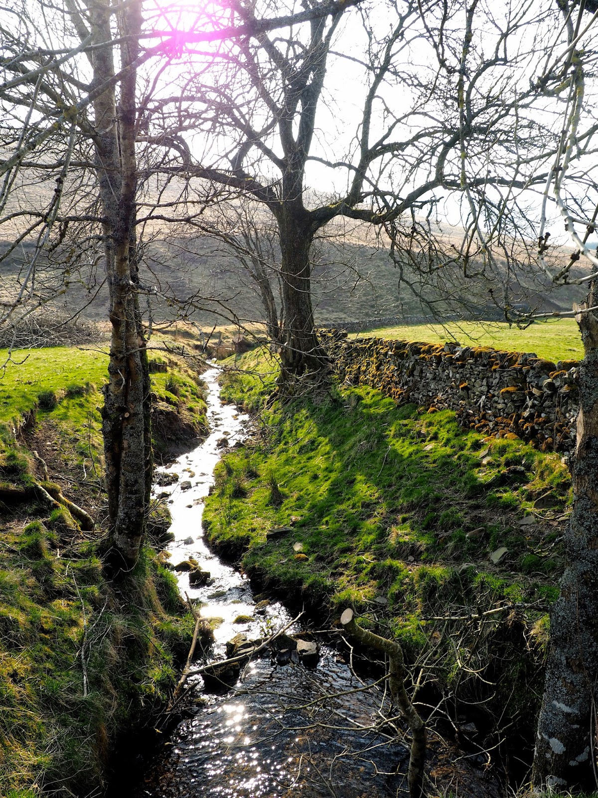 Countryside farm landscape in the Scottish Borders