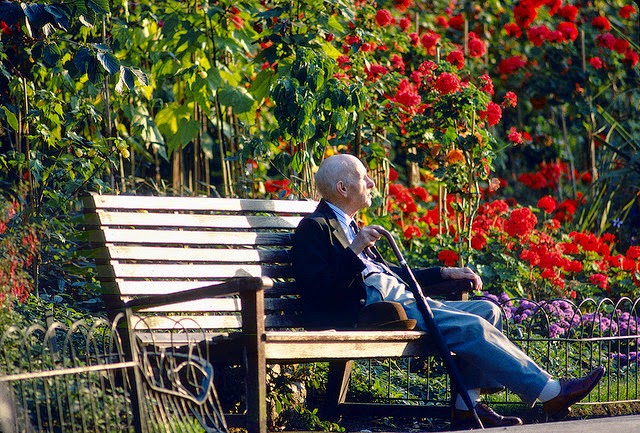 Old man sitting on a park bench