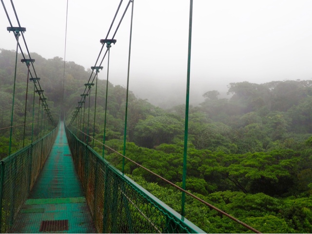 Hanging bridge in the cloud forest canopy of Monteverde, Costa Rica