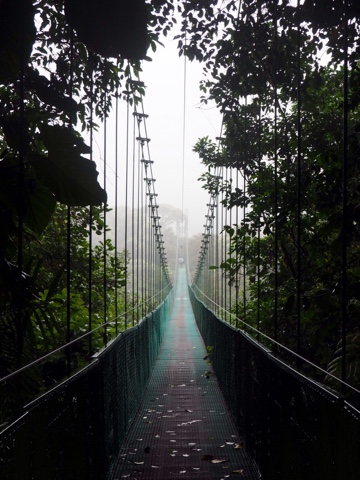 Hanging bridges in the cloud forest canopy of Monteverde, Costa Rica