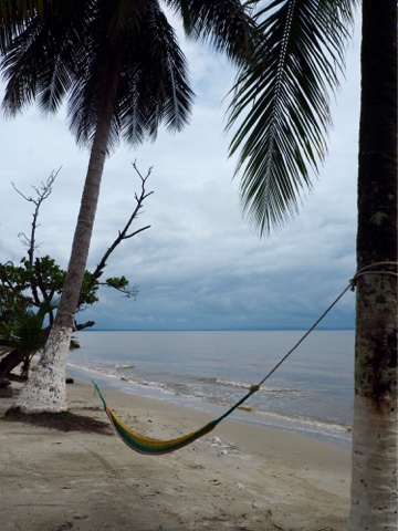 Palm trees and hammocks on Playa Blanca, Guatemala