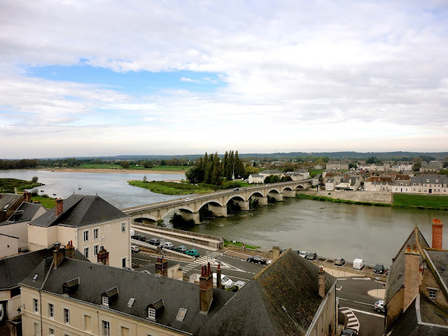 View of Amboise and River Loire from the château, in the Loire Valley, France