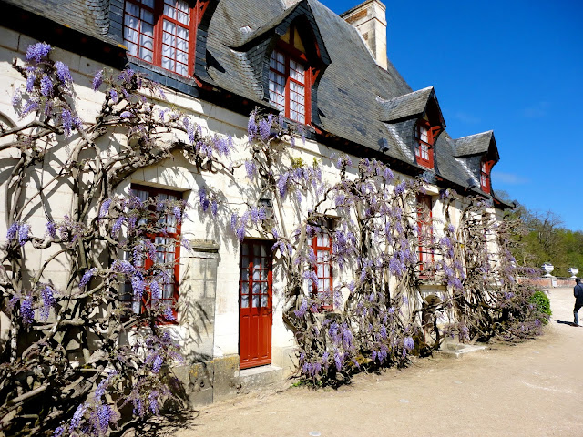 House covered in flowers in the grounds of Chenonceau Château, Loire Valley, France
