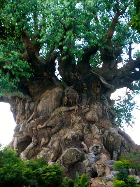 Tree of Life - Animal Kingdom, Disney World, Florida