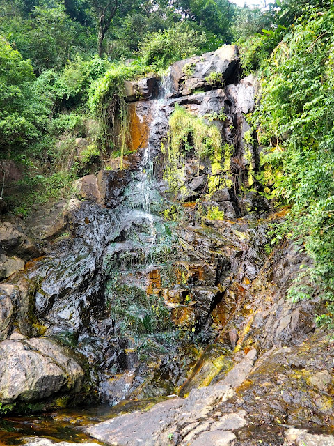 Small waterfall beside the trail on the Peak Circle Walk | Hong Kong