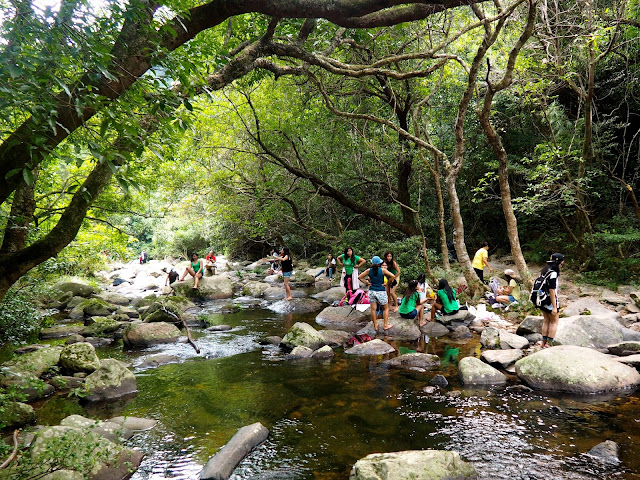 People paddling in the stream near Bride's Pool, in the forest of Plover Cove Country Park, New Territories, Hong Kong