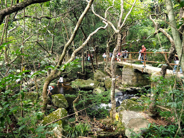 Bridge crossing the stream, leading to Bride's Pool, Plover Cove Country Park, New Territories, Hong Kong