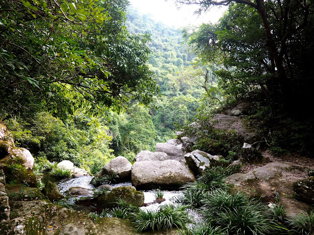 Small pools and rock formations at the top of Mirror Pool Cascade, Plover Cove Country Park, New Territories, Hong Kong