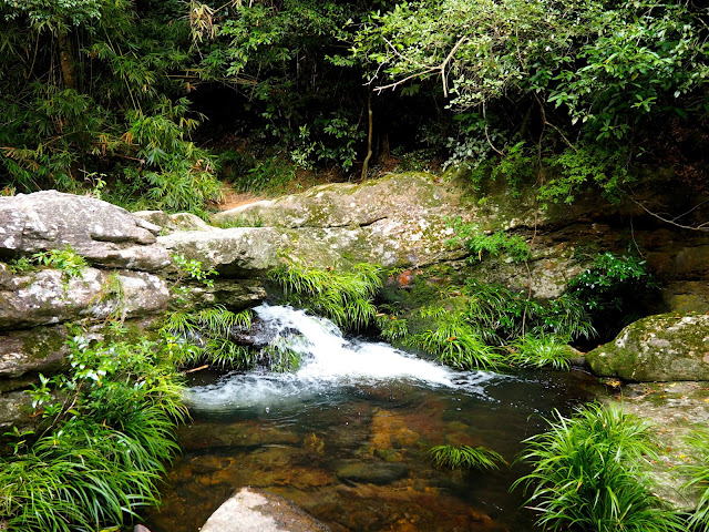 Small waterfall in the stream at the top of Mirror Pool Cascade, Plover Cove Country Park, New Territories, Hong Kong