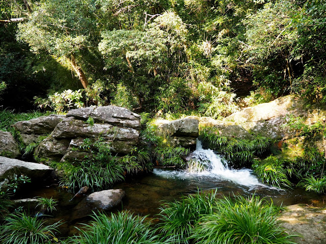 Small waterfall and rock formations in the stream at the top of Mirror Pool Cascade, Plover Cove Country Park, New Territories, Hong Kong