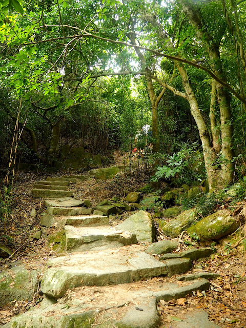 Forest path entrance to Dragon's Back Hiking Trail from Shek O Road, Hong Kong Island