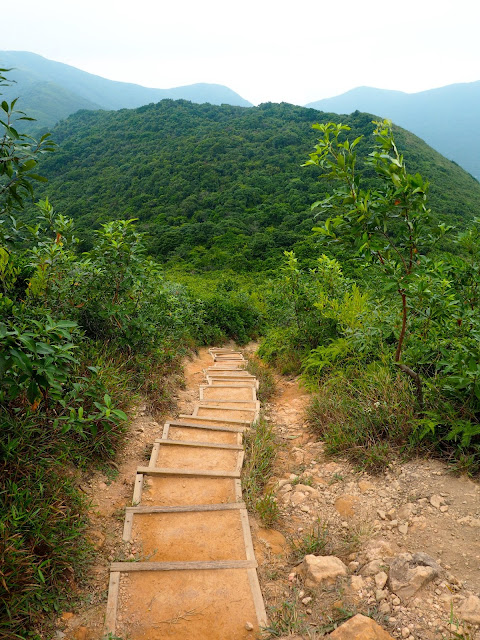 Stairs down from Shek O Peak, on Dragon's Back hiking trail, Hong Kong Island