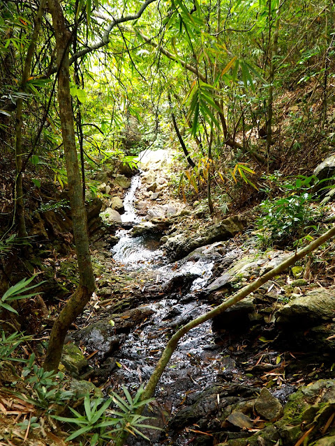 Stream & waterfall beside the forest path of Dragon's Back, Hong Kong Island
