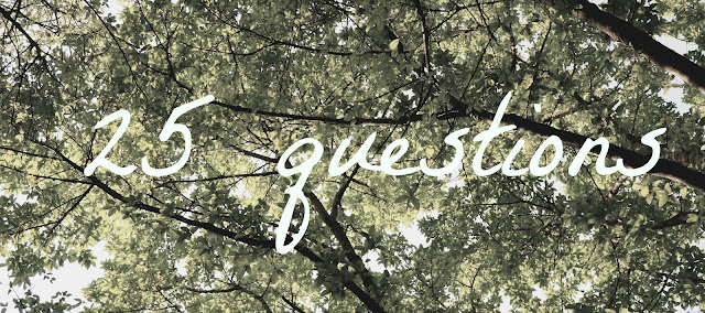 25 questions tag - title text on a leafy tree background