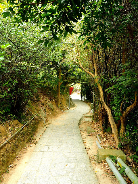 Path through trees on the Family Trail walk, Lamma Island, Hong Kong