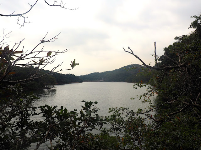 Kowloon Reservoir at the start of Monkey Mountain hike, New Territories, Hong Kong