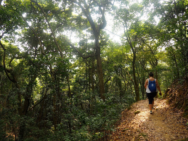 Girl walking through the forest on Monkey Mountain hike, New Territories, Hong Kong