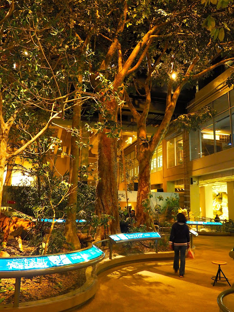 Forest exhibit about Hong Kong's geography | Hong Kong Museum of History