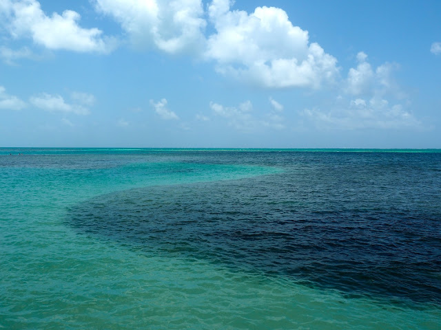 Turquoise Caribbean lagoon around Caye Caulker, Belize
