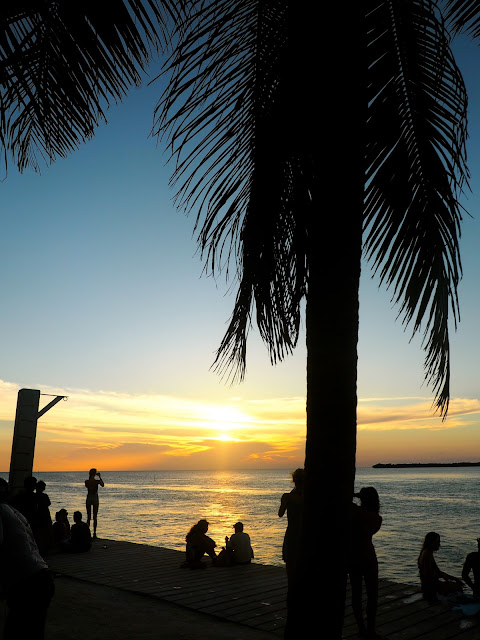 Sunset with palm tree silhouette at The Split, Caye Caulker, Belize