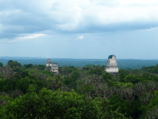 View from temple 4 looking over Tikal, Guatemala (the Star Wars scene)
