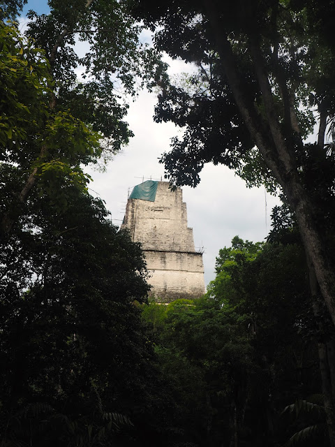 Temple in the jungle at Tikal, Guatemala