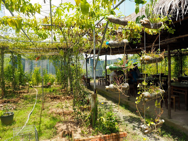 Local garden patch at a bee farm in the Mekong Delta, Vietnam