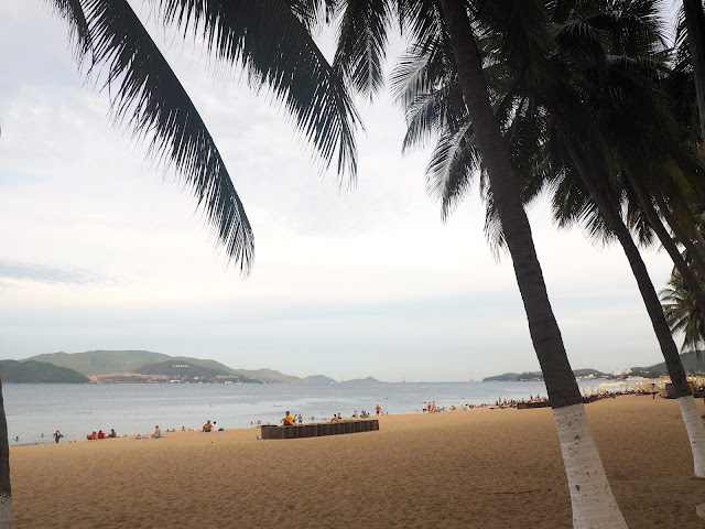 Palm trees by the sand at Nha Trang beach, Vietnam