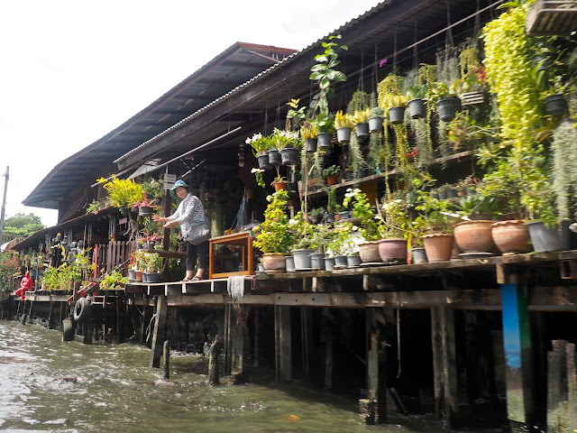 Stilt houses with plants on the canals of Bangkok, Thailand
