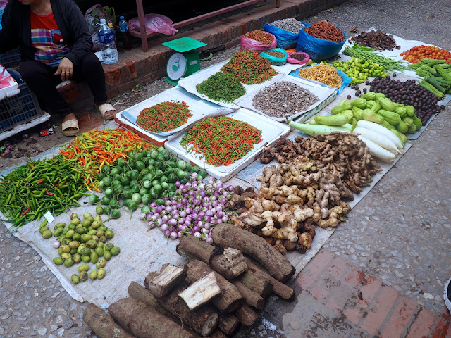Fresh market in Luang Prabang, Laos