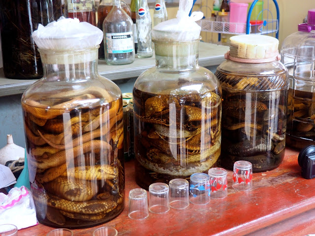 Jars of snake whisky in Luang Prabang, Laos