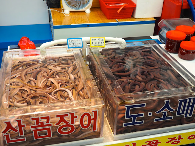 Tanks of eels in Jagalchi Market, Nampo-dong, Busan, South Korea