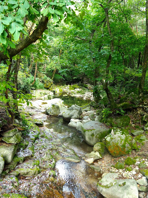 Forest stream by the path to Cheongpyeongsa temple, outside Chuncheon, South Korea