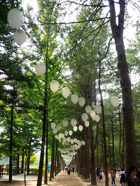 Tree lined path with white balloons on Namiseom Island, Gapyeong, South Korea