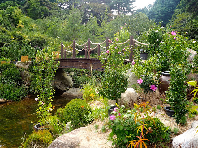 Flowers by a wooden bridge in the Garden of Morning Calm, Gyeonggi-do, South Korea