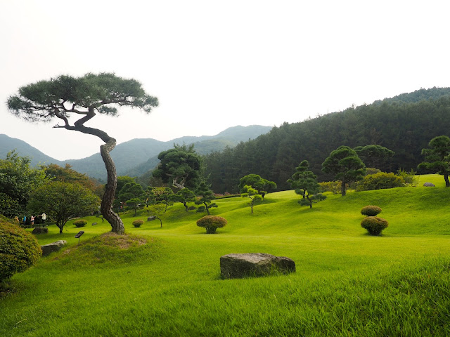 Trees and lawn in the Garden of Morning Calm, Gyeonggi-do, South Korea