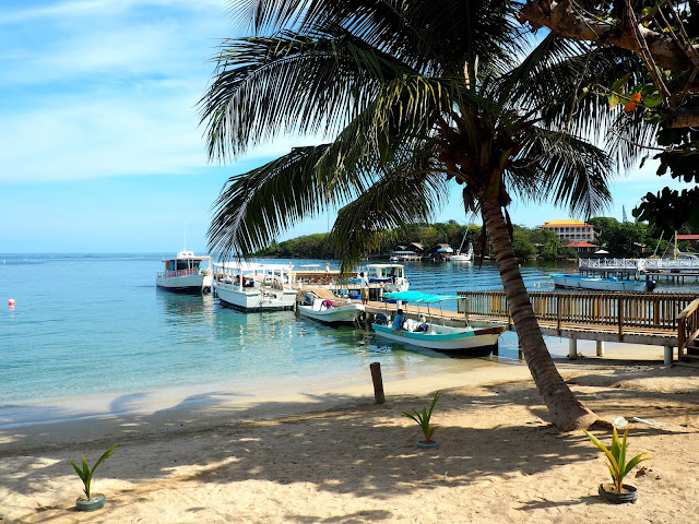 Boats by the dock and palm tree on the beach at West End, Roatan Island, Honduras