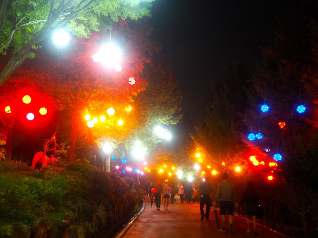 Coloured sphere lanterns in the trees at Jinju Lantern Festival, South Korea