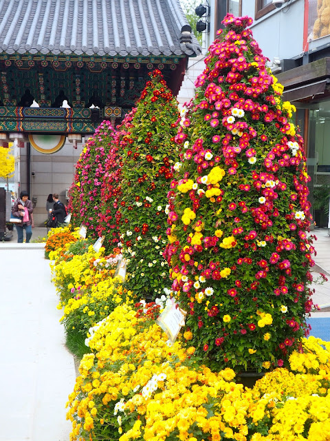 Jogyesa Temple Autumn Chrysanthemum Festival