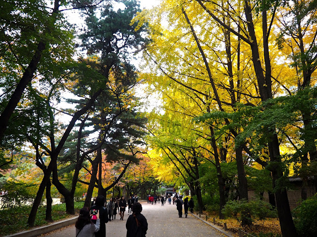Autumn leaves in Seoul, South Korea