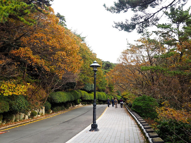 Autumn foliage in Taejongdae Park, Busan, South Korea