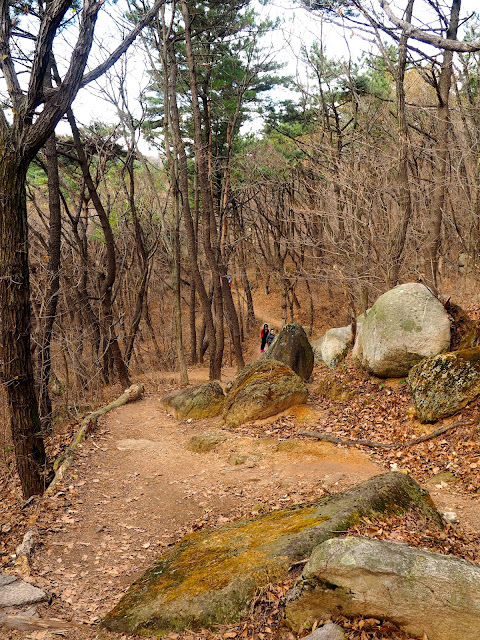 Forest hiking path in autumn, on Geumjeongsan Mountain, Busan, South Korea