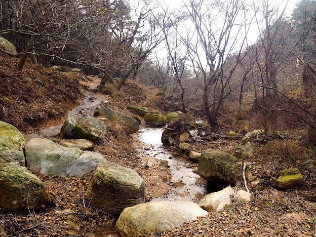 Stream in the forest in autumn on the hiking trail on Geumjeongsan Mountain, Busan, South Korea