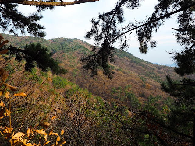 Autumn leaf colours of Geumjeongsan Mountain, Busan, South Korea