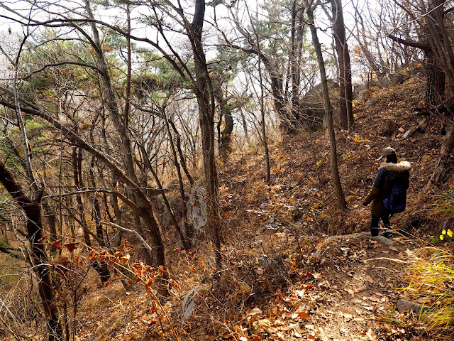 Descent through the autumn forest down Geumjeongsan Mountain, Busan, South Korea
