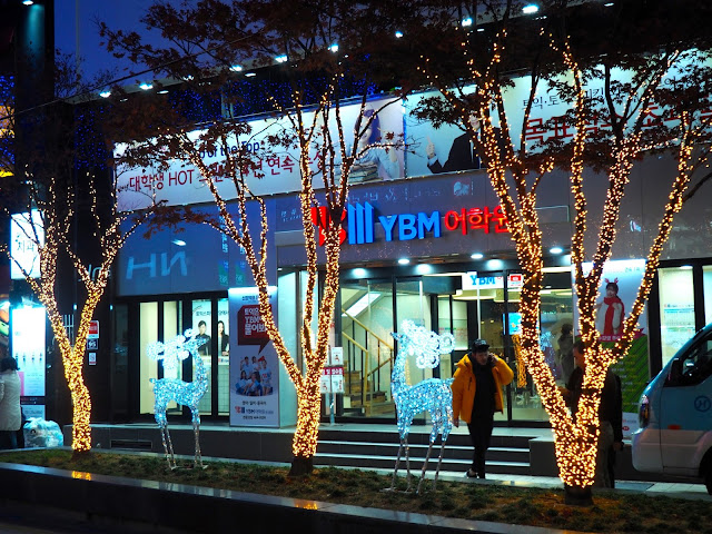 Tree and reindeer Christmas lights in Nampo, Busan, South Korea